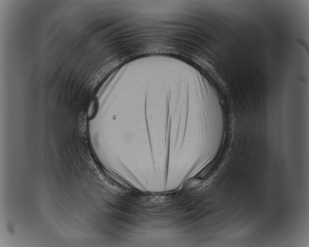 X0000100880841200807181257