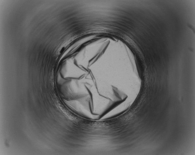 X0000100880842200807181257