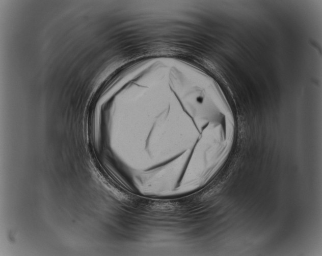 X0000100880843200807181257