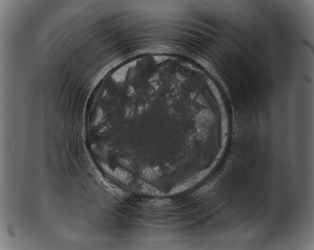 X0000100880845200807181257