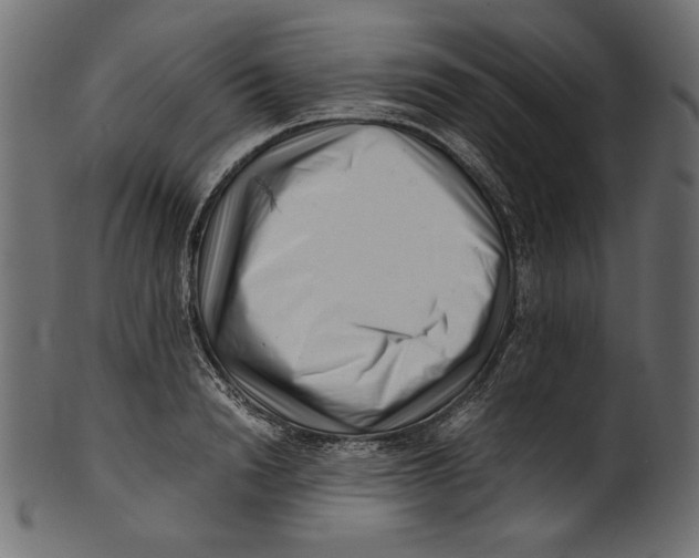 X0000100880846200807181257