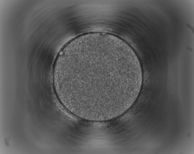 X0000100880848200807181257