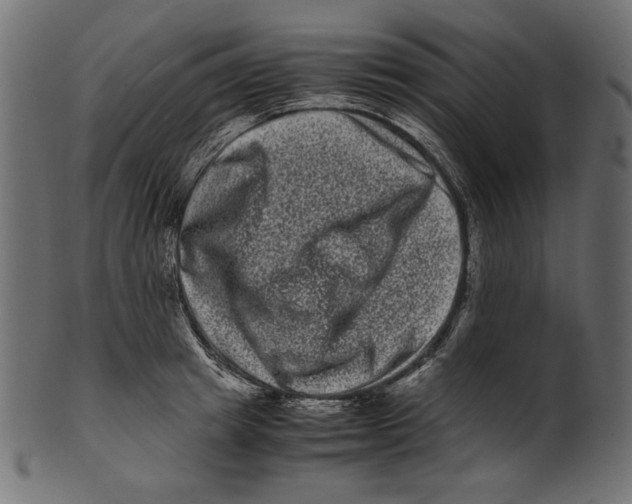 X0000100880849200807181257