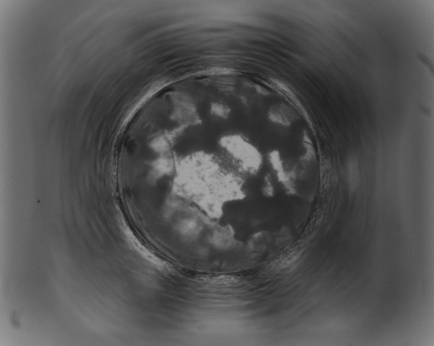 X0000100880851200807181257