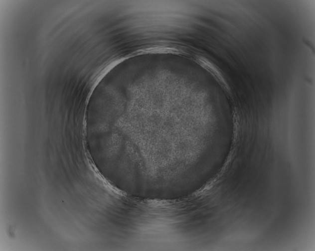 X0000100880852200807181257