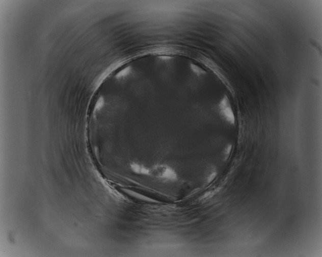 X0000100880853200807181257