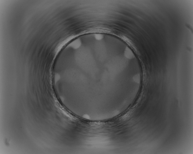 X0000100880854200807181257