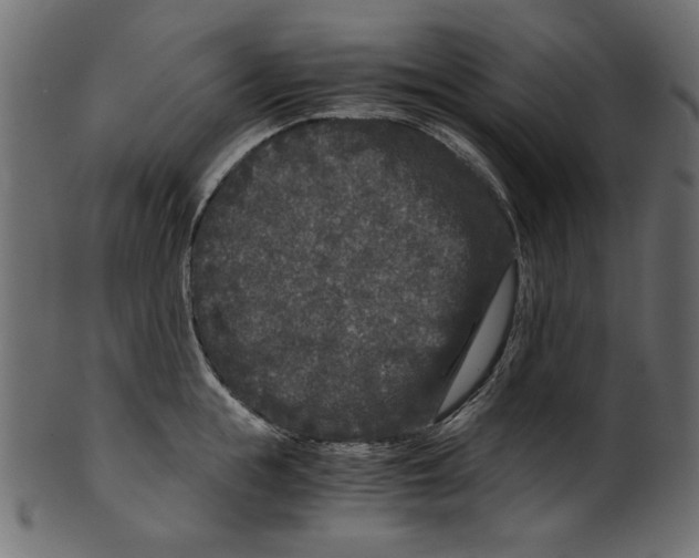 X0000100880855200807181257