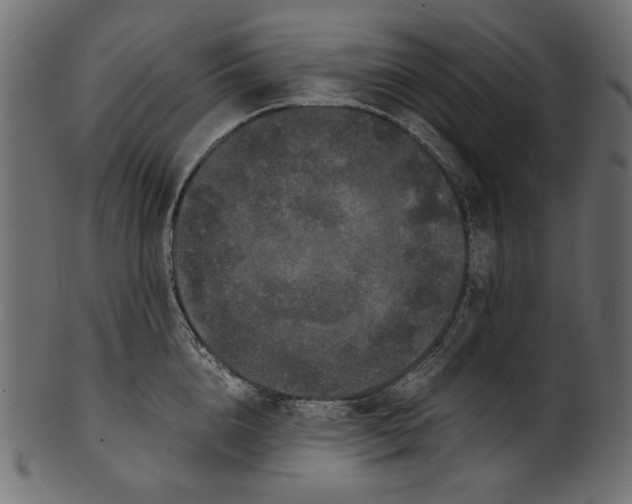 X0000100880856200807181257