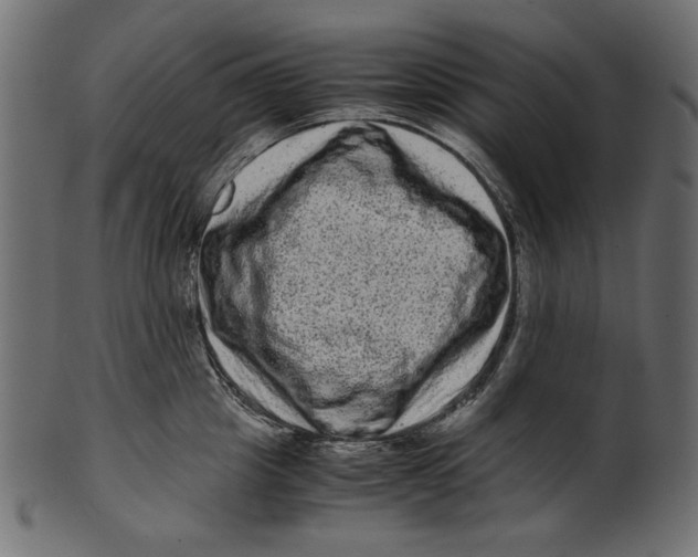 X0000100880857200807181257