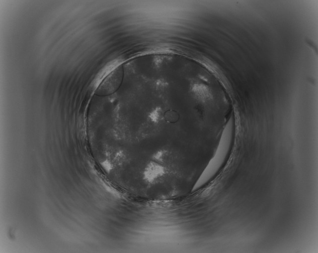 X0000100880858200807181257