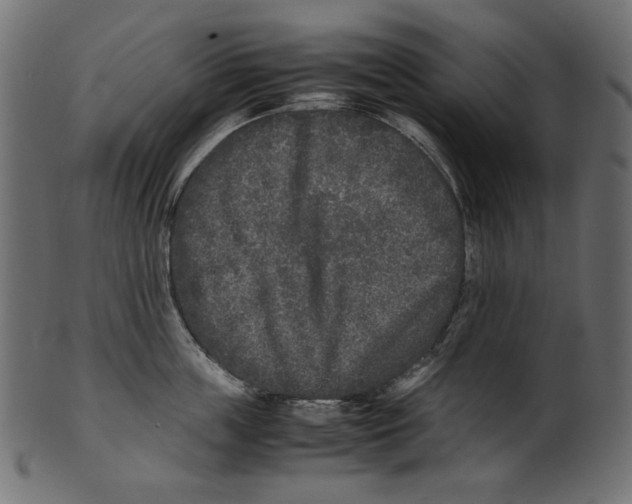 X0000100880859200807181257