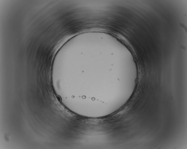 X0000100880860200807181257