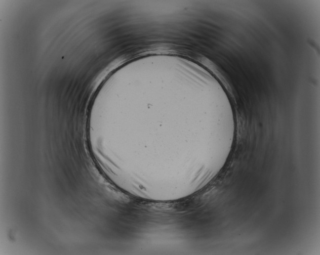 X0000100880861200807181257