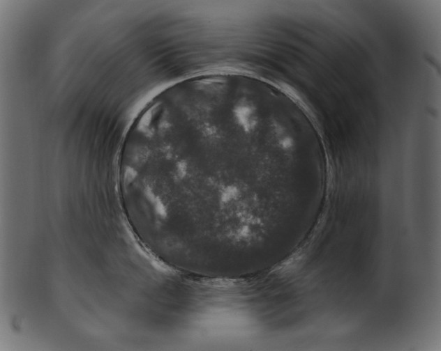 X0000100880862200807181257