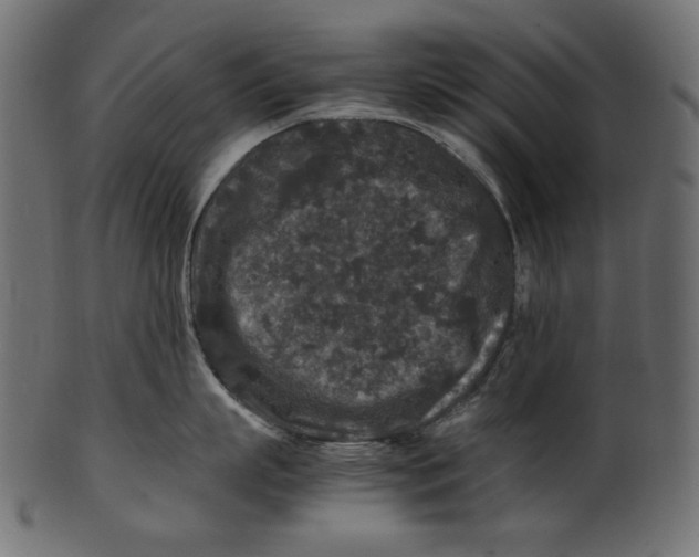 X0000100880863200807181257