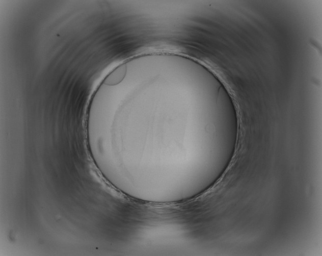 X0000100880864200807181257