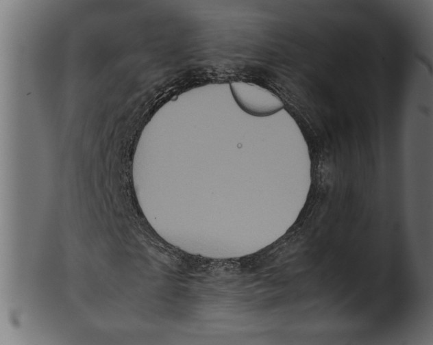 X0000100880865200807181257