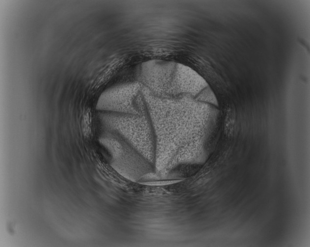 X0000100880866200807181257