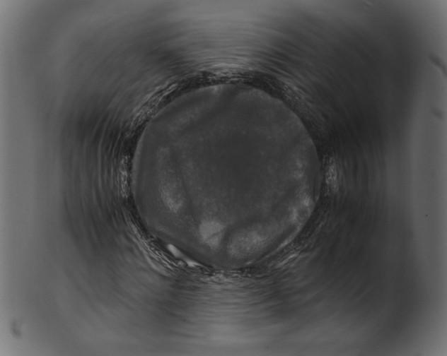 X0000100880868200807181256