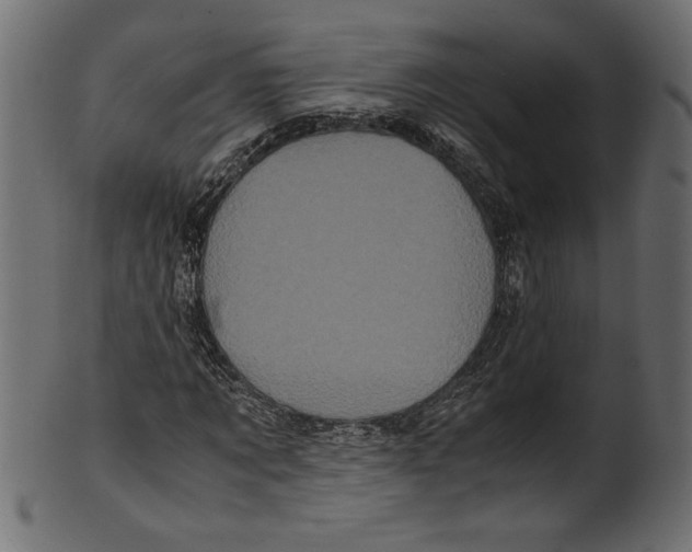 X0000100880869200807181256