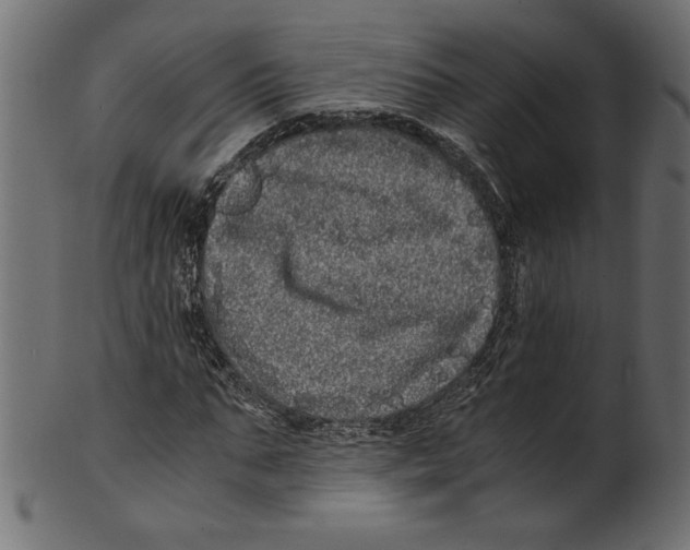 X0000100880871200807181256