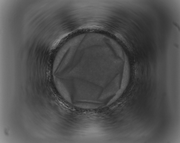 X0000100880872200807181256