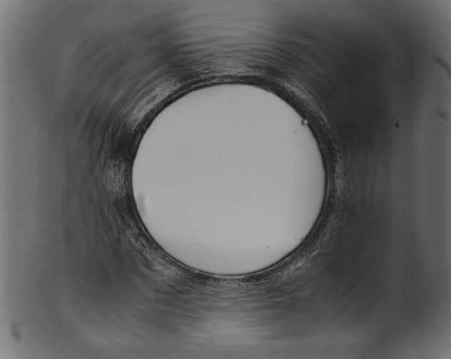 X0000100880873200807181256