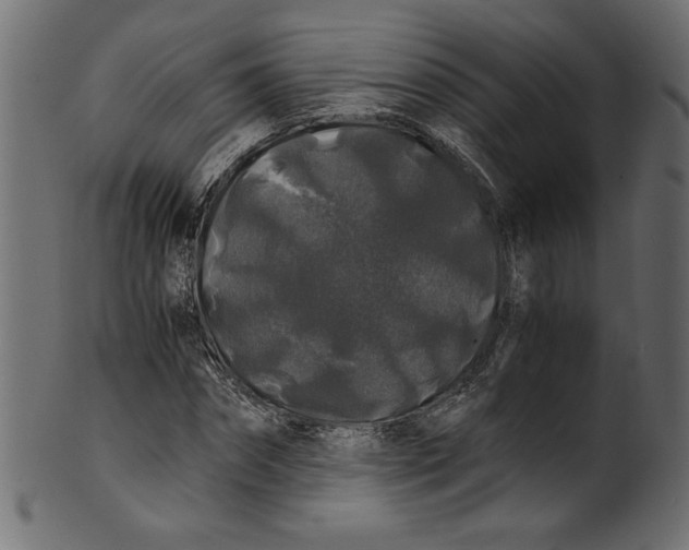 X0000100880874200807181256