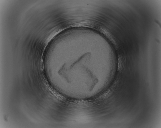 X0000100880876200807181256