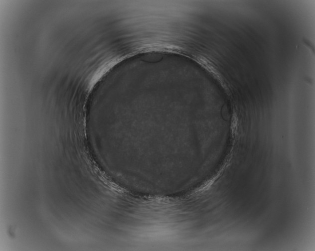 X0000100880877200807181256