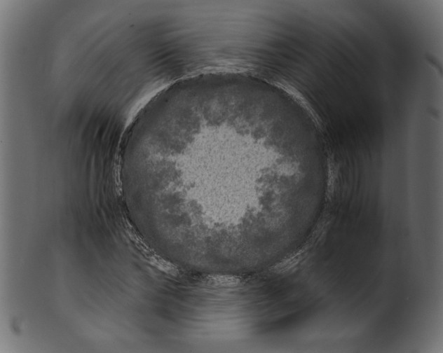 X0000100880878200807181256