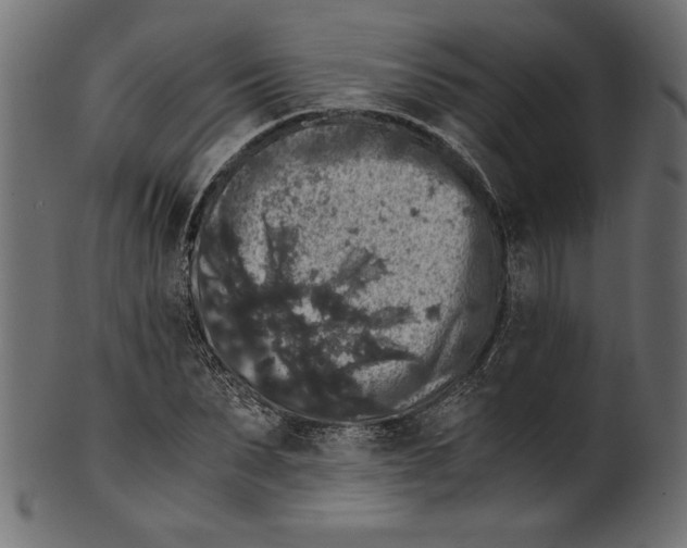 X0000100880879200807181256