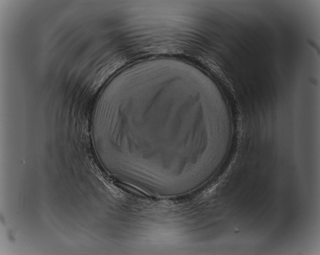 X0000100880881200807181256