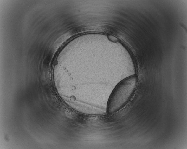 X0000100880883200807181256