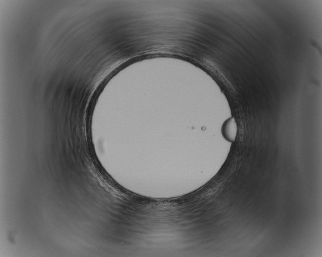 X0000100880884200807181256