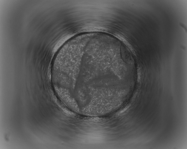 X0000100880885200807181256