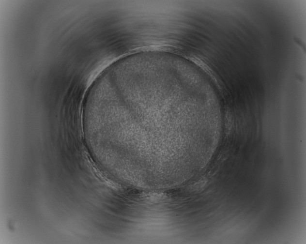 X0000100880886200807181256