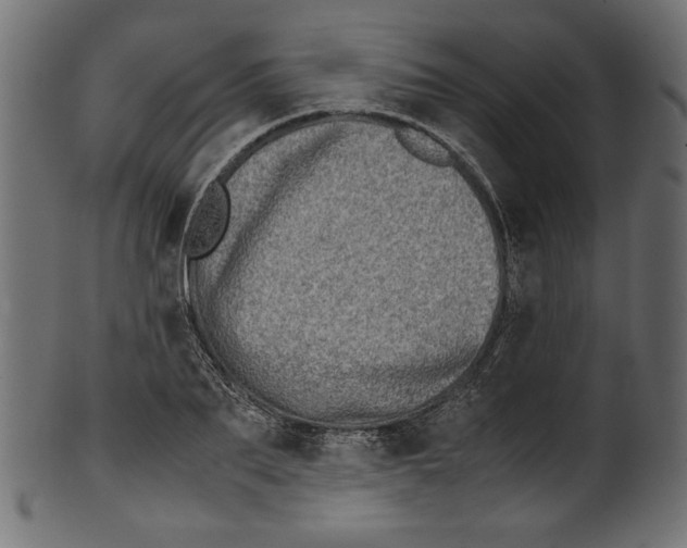 X0000100880887200807181256