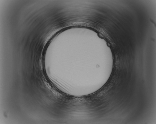 X0000100880888200807181256