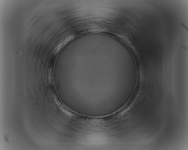 X0000100880889200807181256