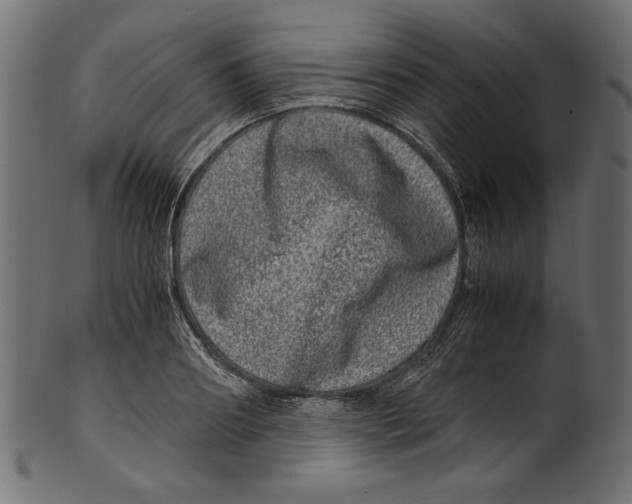 X0000100880890200807181256