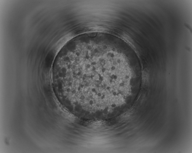 X0000100880891200807181256