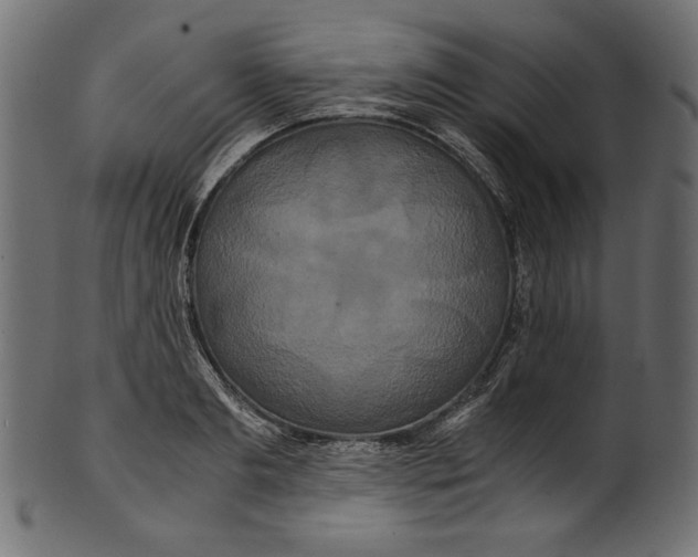 X0000100880893200807181256