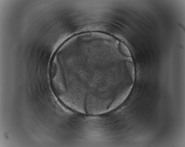 X0000100880894200807181256