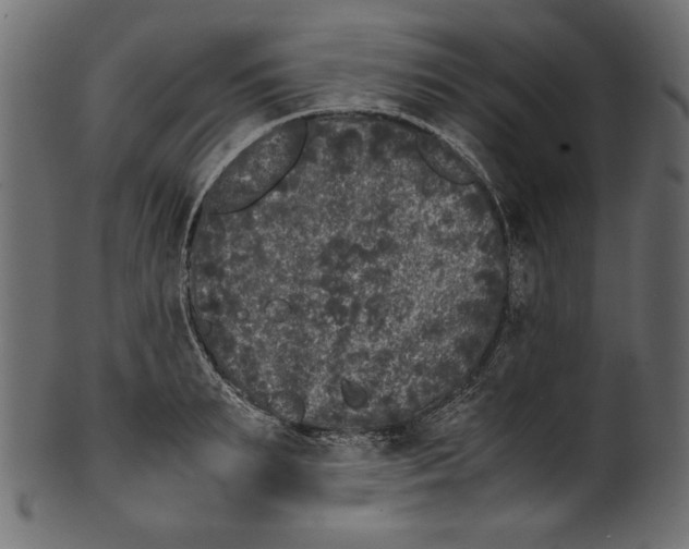 X0000100880895200807181256