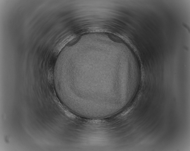 X0000100880897200807181256