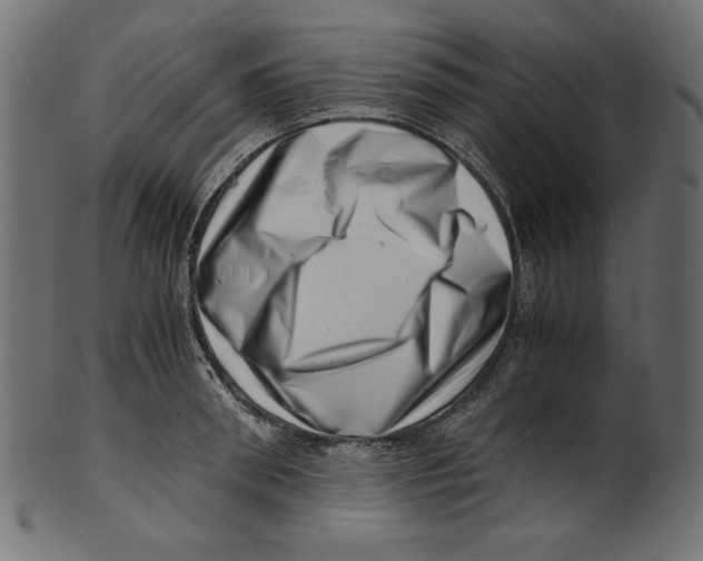 X0000100880898200807181256