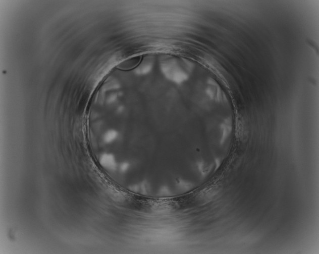 X0000100880899200807181256