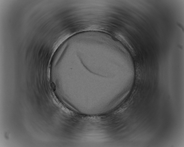 X0000100880900200807181256